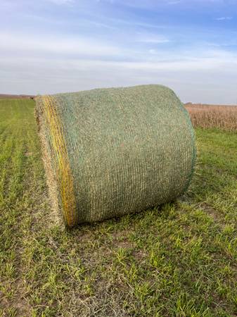 Premium Netwrap 1