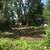 BOBCAT SERVICES Land Clearing,Grading/Leveling, Demo,Hauling,Landscape 11 thumbnail