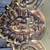 RARE Antique Victorian Cast Iron Brass Bronze Side Table 9 thumbnail