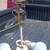 VINTAGE STIFFEL 3 CANDLE BRASS BOUILLOTTE 30" TABLE LAMP & STIFFEL PLE 3 thumbnail