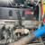 2000 freightliner fld 112 day cab semi 1 thumbnail