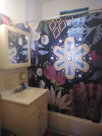 $400 6-day sublet 13 min south of Prospect Park (Flatbush/Ditmas Park)63886654900097124