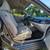 2010 honda insight, hybrid, 12 thumbnail