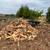 For Sale: Cedar Firewood 1/2 Cord ($175) 1 thumbnail