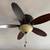 Ceiling Fan with Lights Excellent Condition Ready for pick up 1 thumbnail