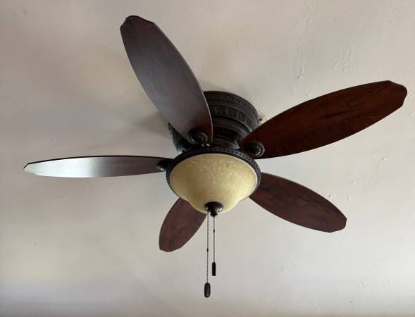 Ceiling Fan with Lights Excellent Condition Ready for pick up 1