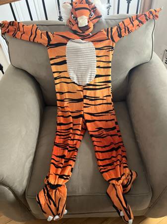 TIGER and SKUNK COSTUMES 1