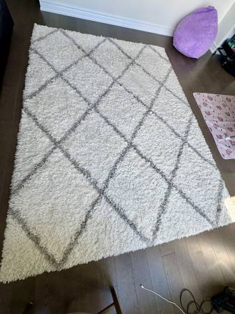 Geometric shag Carpet 1