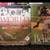 Baseball Books $1 for 1st 2 Books + 3rd Book Free 1 thumbnail