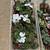 Christmas Decor ~ Greenery~ Ornaments ~ Bells ~ Flowers 6 thumbnail