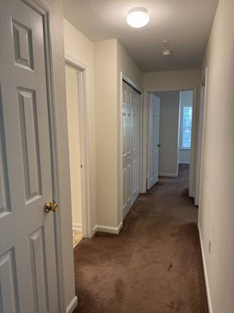 $1,750 / 2br - 1100ft2 - Freshly Painted Spacious 2BR/2BA Wooded Views on Island (The Legends)63951149523458123