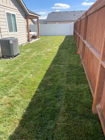 Sod installation 1