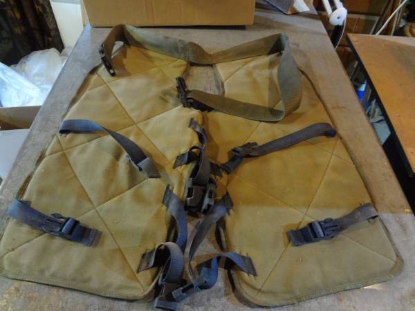 Chainsaw Chaps 1