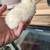 Baby Chicks in Winter Haven Florida 2 thumbnail