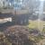 General landscaping, Leaf Cleanup, Hedge Trim, Leaf Removal, Mulch, Mowing and M 4 thumbnail