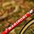 64CM Marinoni Corsa 5 thumbnail
