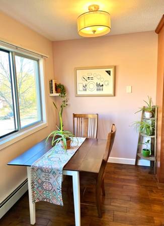 $1,595 / 2br - 1000ft2 - 2 BR Apt4Rent - 3912 Minnehaha #20 - Avail Oct 15 (South Minneapolis)64048420796418122