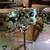 DW collectors specialty lacquer 7 piece drumset 2001 3 thumbnail
