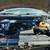 2013 Ford F-150 13 thumbnail