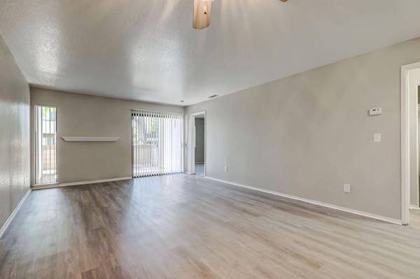 $910 / 1br - Harlem 1BR Apartment – Affordable (marina / cow hollow)64000751060866120