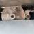 Mar-Bel LS-7 commercial Laminate Slitter With 7” Throat, 115v. 5 thumbnail