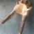 Various lectric tools, tires, old, large dysplay bones, ivory carving. 6 thumbnail