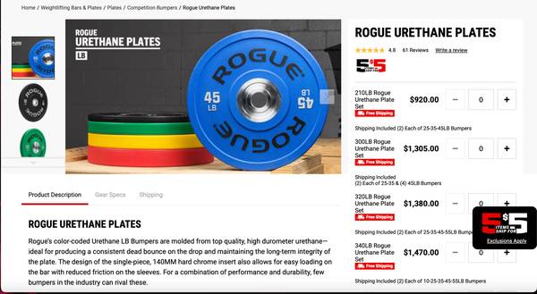 Rogue Weights + Bar 1