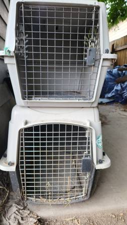 kennels 1