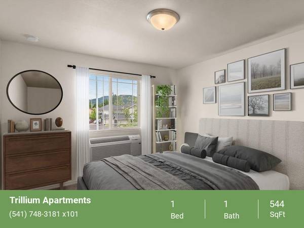 Patio/Balcony, Washer/Dryer, A Must See, Pet Friendly 1