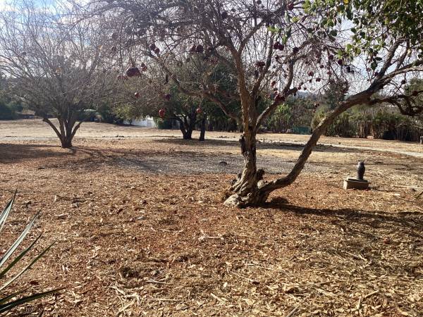$950 RV space avail. Country setting 15min to BEACH (Vista)63998455930626124