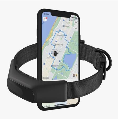 Averia Collar - Reliable GPS and Activity Tracker for Dogs 1