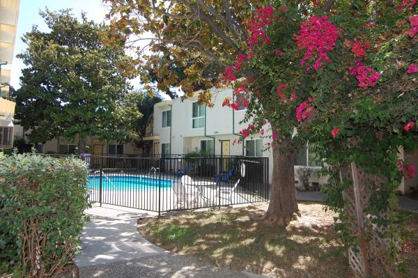 Remodeled and Spacious🌼 Ready To Move-In! 1