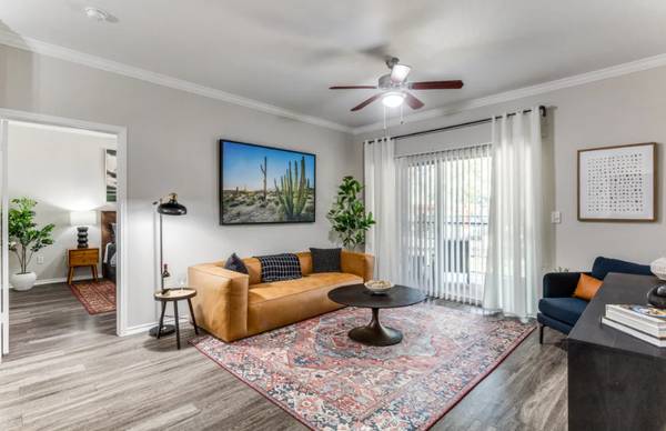 Austin Weeks Free Abc - Room for Rent