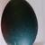 Pre-order Emu Hatching Eggs 5 thumbnail