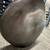 LARGE SOLID AND STUNNING MODERN GRETCHEN NICKEL CAST ALUMINUM VASE 4 thumbnail