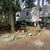 RV Parking, Site, Space, for Rent Full Hookup & GREAT WiFi 3 thumbnail