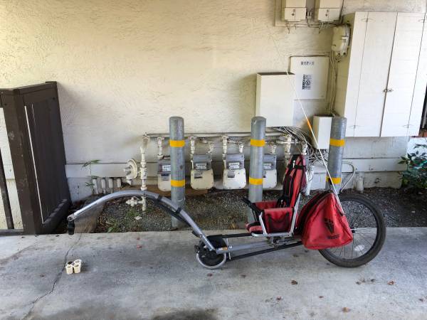 WeeHoo Bike Trailer 1