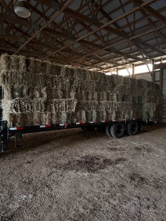 Grass Hay Small Squares & Rounds 1