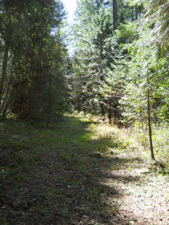 $135,000 25k down 4.75 ac Sunny Valley.  Wooded, gently sloping land zoned RR5 (Sunny Valley)64192594955009121
