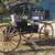 Doctors Horse Buggy 1 thumbnail