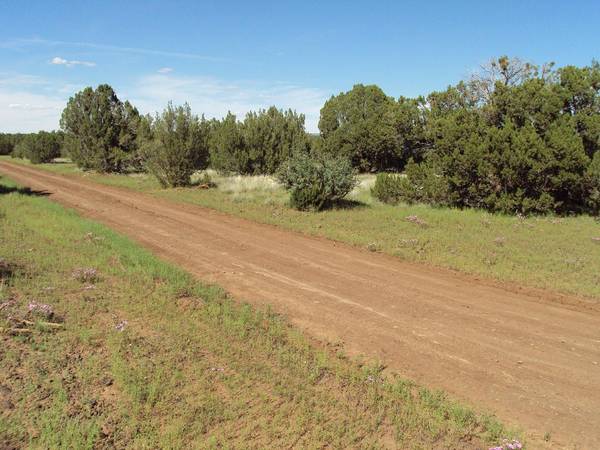 $18,900 / 261360ft2 - 5 and 6 Acre lots 25 min. NE. of Show Low, Nicely wooded in nice area (Show Low/Concho)63838118157825121