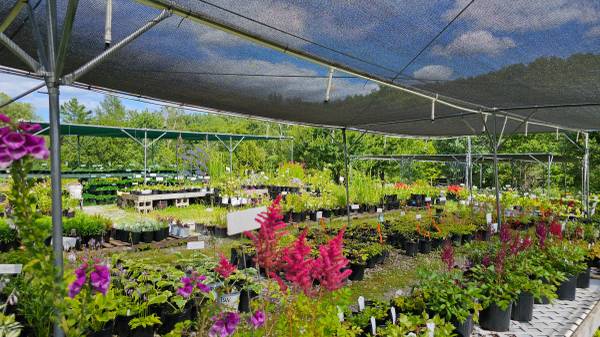 $450,000 / 413ft2 - Flower Farm For Sale! (Marshfield)63976978722306123