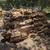 Pine firewood 1 thumbnail