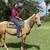 Palomino Quarter Horse Mare 19 thumbnail