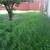 Jose’s Lawn Care 12 thumbnail