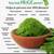 Moringa 1 thumbnail