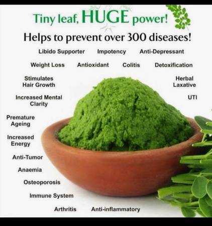 Moringa 1