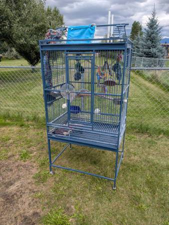 Large bird cage 1