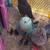 Chicks 3 thumbnail