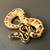 Sugar Enchi Pastel Het Clown male. Poss vanilla poss poss yb 4 thumbnail